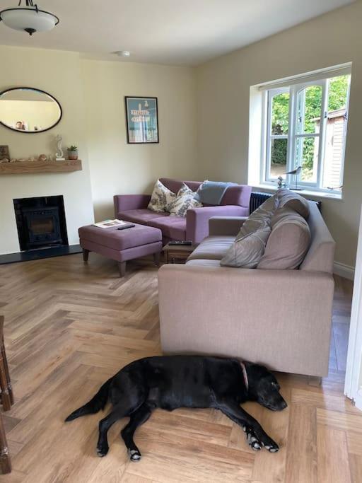 Lovely Quiet Cottage Sleeps 4 Adults, 4 Children, Dog Friendly เคลย์เน็กซ์เดอะซี ภายนอก รูปภาพ